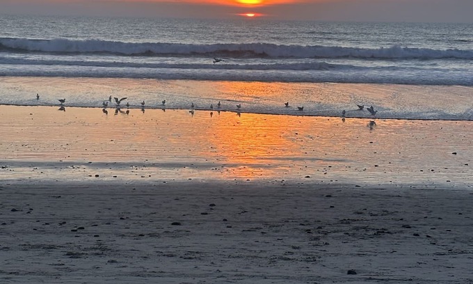 Carlsbad Village Cabaña | Carlsbad Beach Cottage