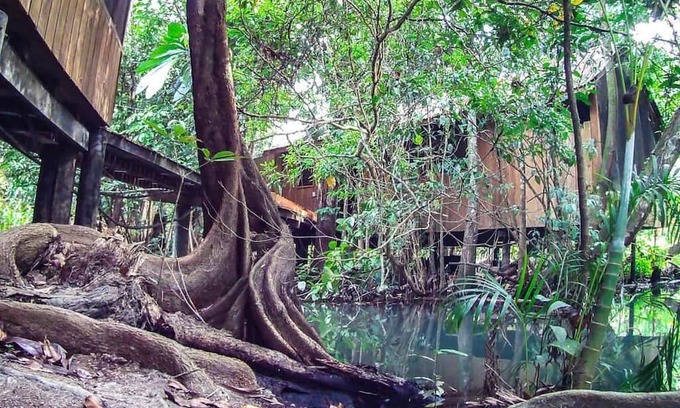Livingston Hotel | Hotel Kangaroo y Restaurante