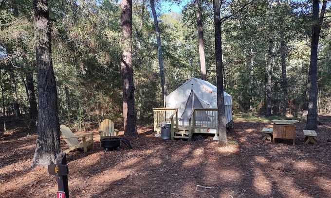 West Livingston Alquiler De RV | Tentrr State Park Site - Texas Lake Livingston State Park - Site B - Single Camp