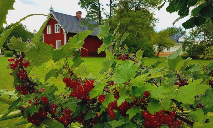 Klavrestrom Casa | Pure relaxation in the Klavreström vacation home with canoe!