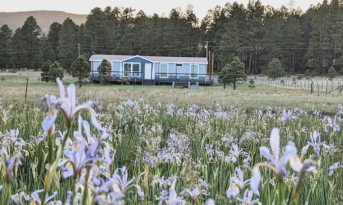 Alpine Casa | Hays Hideaway