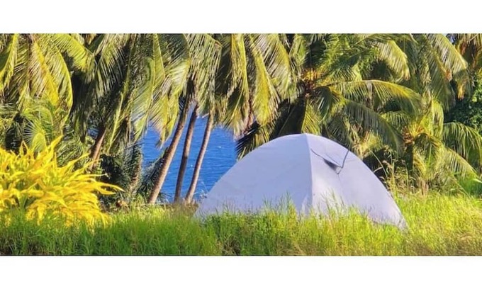 Newcastle Alquiler De RV | Camping Barbados - Activity Stay
