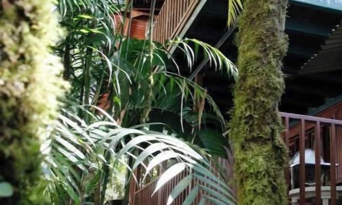 Cerro Punta Apartamento | Eco-Cabin apartment inside Cloudforest