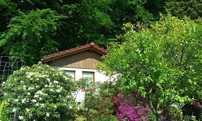 Steina Casa | Holiday Home by the Forest with South-Facing View
