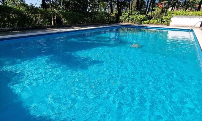 Calvarrasa de Abajo Cabaña | Rural house 5min from Salamanca, 5000m² with swimming pool and barbecue