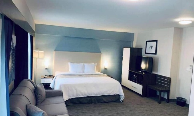 Northeast Mississauga Apartamento | Hotel Chandni Victoria - King Room Disability Access