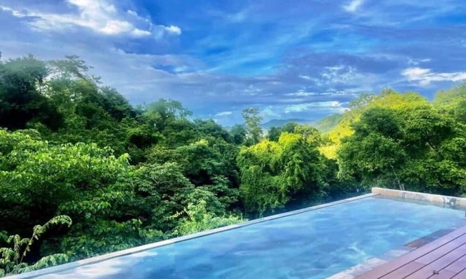 Paquera Apartamento | Stairway to heaven where the jungle meets the sky! Bioluminescence, Isla Tortuga