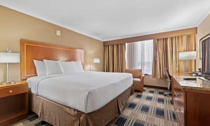 Carteret Apartamento | Cozy King Suite Prime Location Premium Comfort