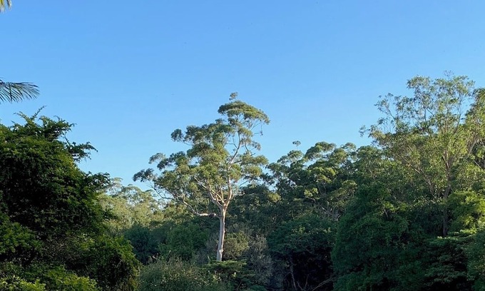Maleny Cabina | Dads Art Studio