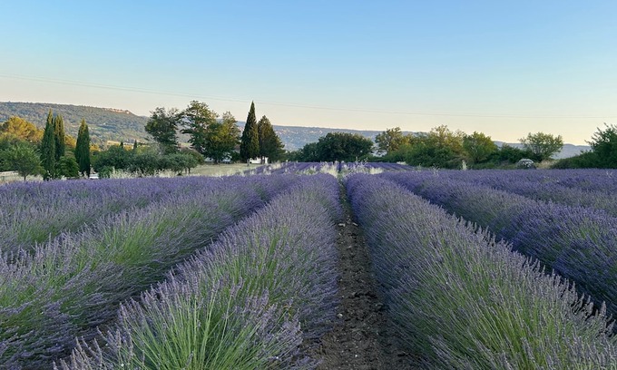 Goult Cabaña | Private estate with lavender fields and Luberon views - La Petite Maison