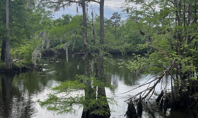 Willard Apartamento | Relaxing Black River- Riverfront Retreat