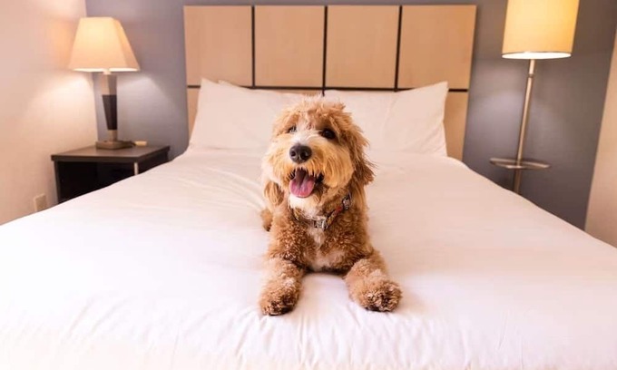 Braintree Hotel | Extended Stay | Spacious Haven w/ Kitchen | Near South Shore Plaza | 2 Units