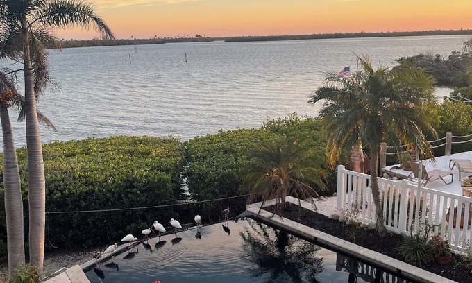 Bokeelia Casa | Luxury Waterfront Paradise in Bokeelia - Infinity Pool, Dock and Outdoor Bar