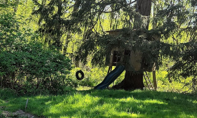 Saratoga Beach Cabina | Oyster river way animal sanctuary and party rentals