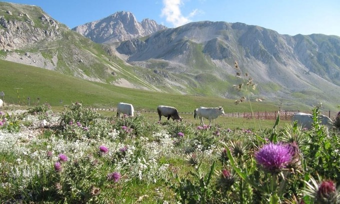 Montebello di Bertona Apartamento | The perfect place for a mountain and beach vacation!