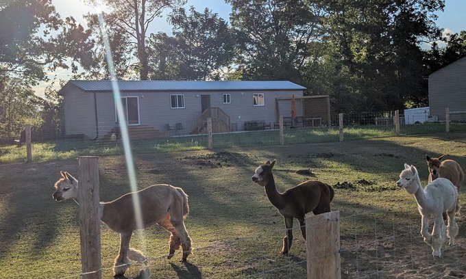 Courtland Otro | Alpaca Farm Retreat – Cozy 2BR Stay on Kloud 9 Haven, Near Beach & Wineries