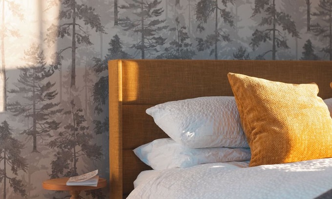 Center City Casa | Nordic Harbor | Room 1 | Acorn Oak