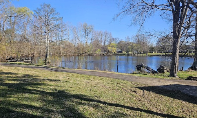 Olive Branch Casa | Grand 8-Bedroom Brick Southern Home with Lakeview Backyard.
