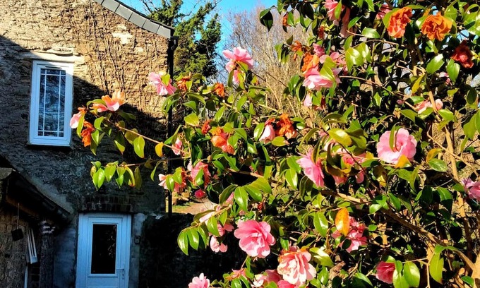 Saltash Cabaña | Cute Cornish Cottage in stunning countryside close to gorgeous beaches.