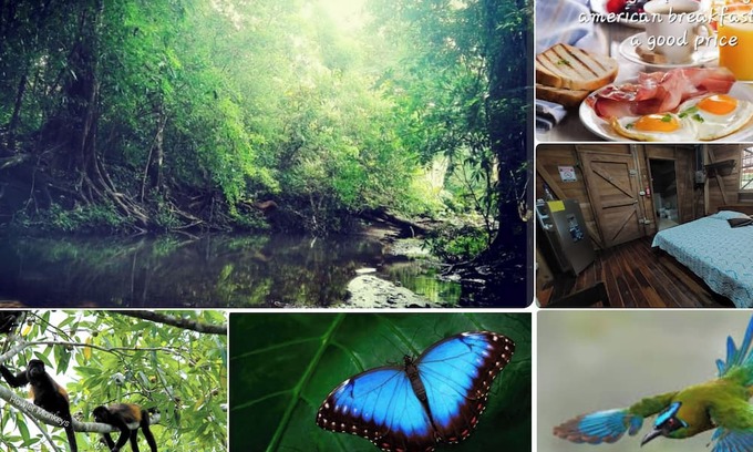 Nicoya Cabina | BluZone Jungle House AC/Wi-Fi