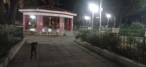 La Paz Casa | La Esperanza Carabuco
