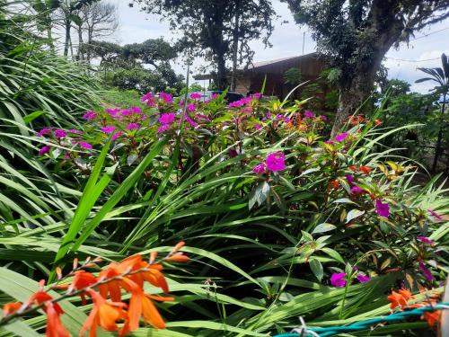 Roble Otro | Finca raíces del pasado