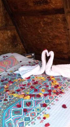 San Sebastián Xolalpa Hotel | Hotel Vicalis Glamping