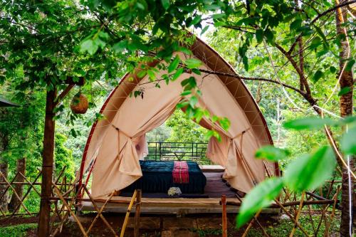 Kon Plong Cabina | Khu Gghỉ Dưỡng glamping Pa Sỹ 3
