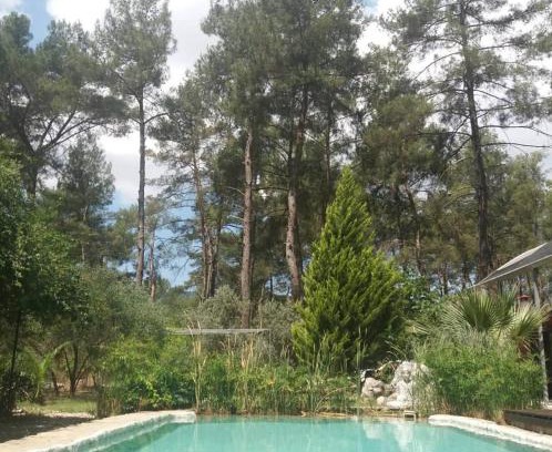 Olympos Cabina | Yeşilyurt 5 rooms