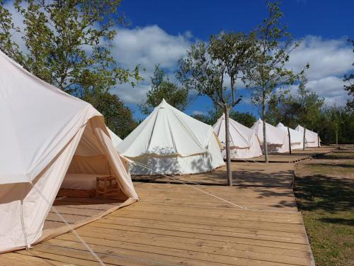 Casablanca Otro | Glamping Zaragoza Camping