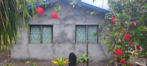 Tanna Island Casa | White Sand Ocean View Bungalow and Tours