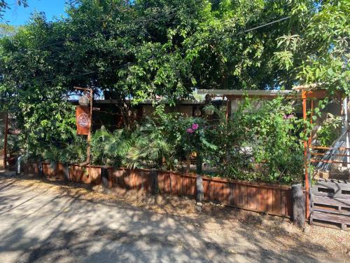 Tamarindo Hotel | Casa Chaak