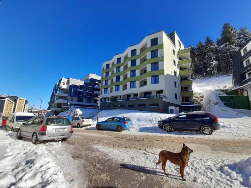 Bjelasnica Apartamento | Bjelasnica studio apartman S02